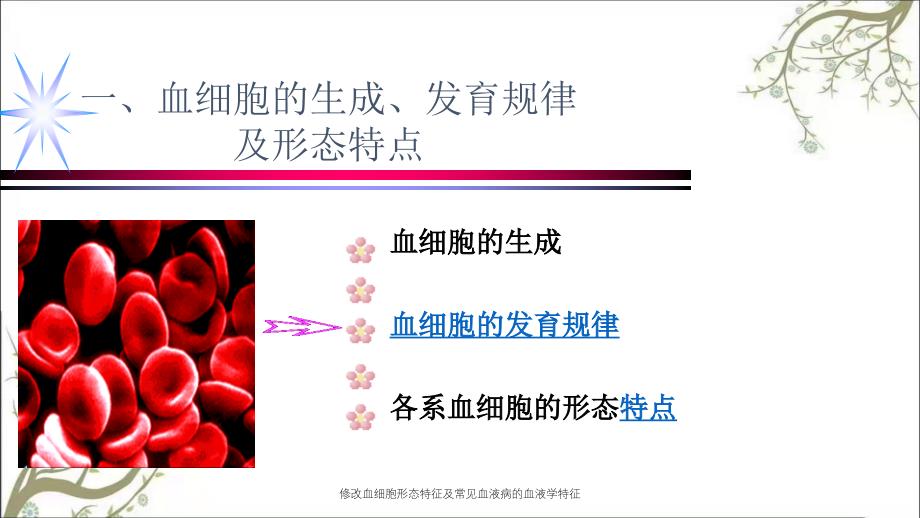 修改血细胞形态特征及常见血液病的血液学特征_第2页