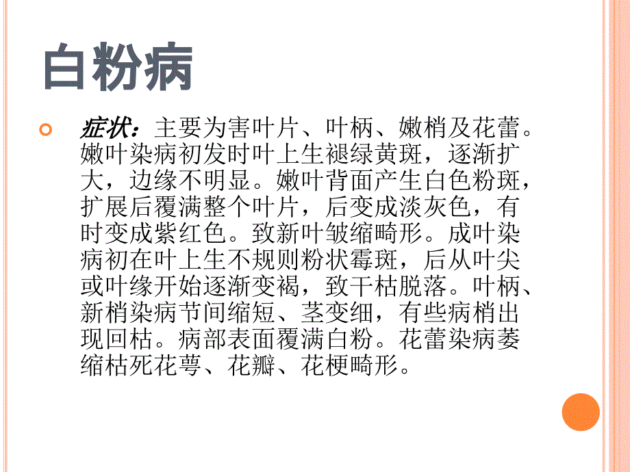 玫瑰病虫害防治优秀课件_第3页