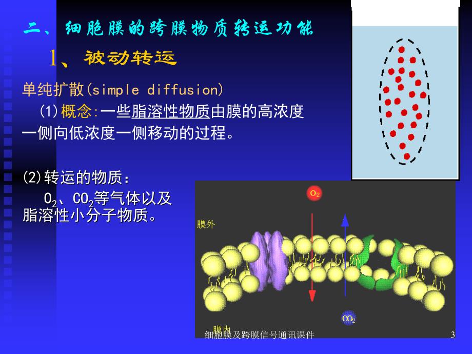 细胞膜及跨膜信通讯课件_第3页