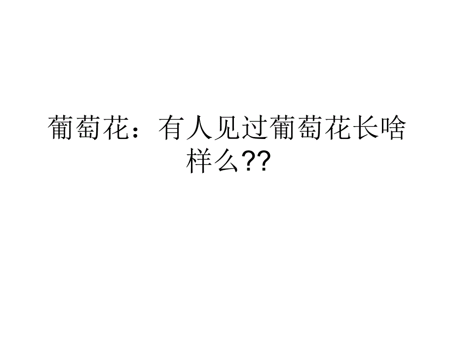 小学四五六年级体验式作文教案《我发现了葡萄的秘密》_第3页