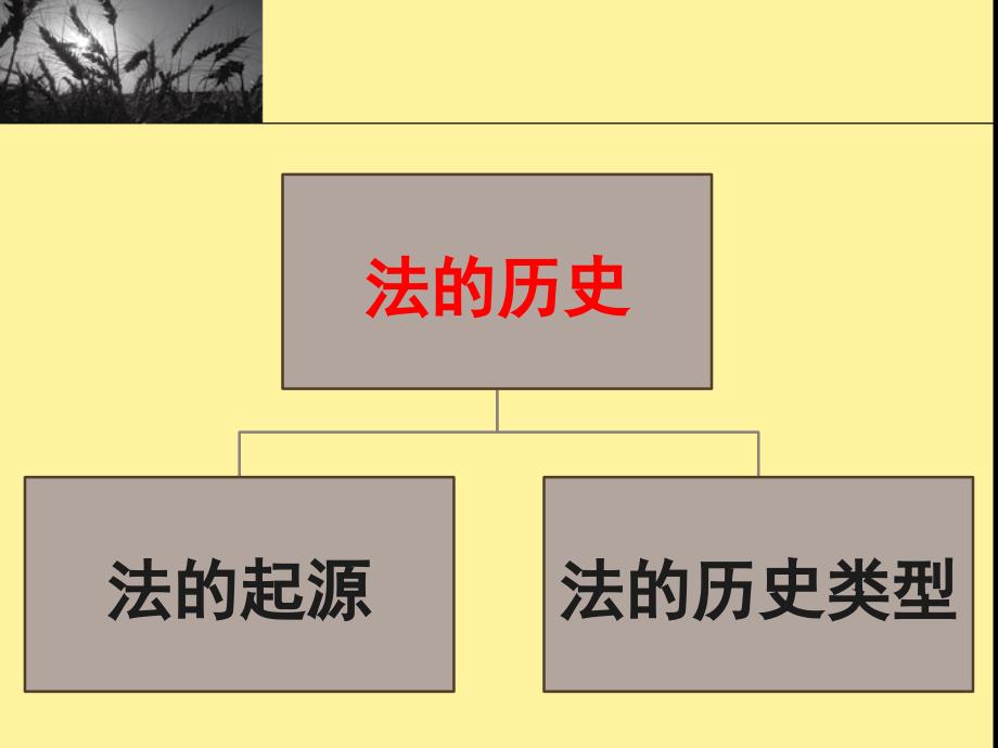 法理学课件：第十三章 法的历史_第3页