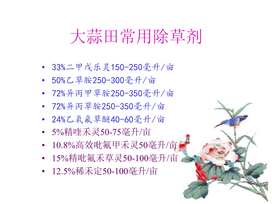 大蒜化学除草及药害_第2页