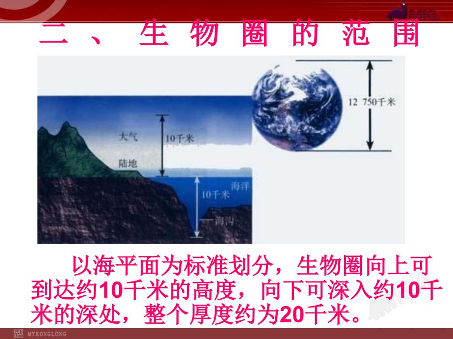 生物圈是最大的生态系统_第3页