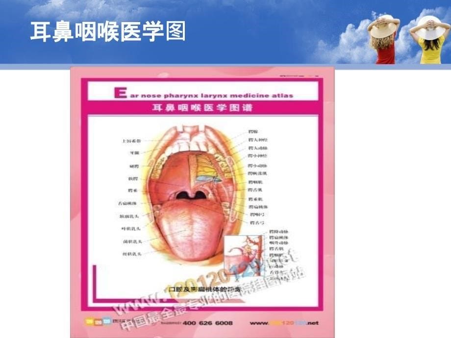 常见疾病预防之急性上呼吸道感染感冒_第5页