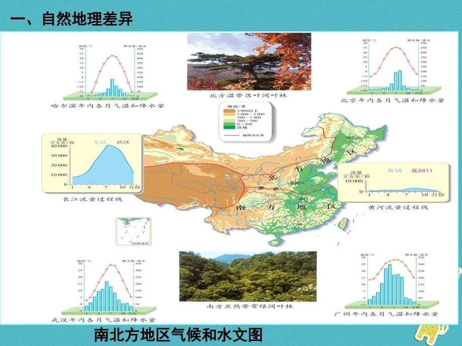 八年级地理下册 第七章活动课 认识南方地区和北方地区的区域差异 （新版）商务星球版_第5页