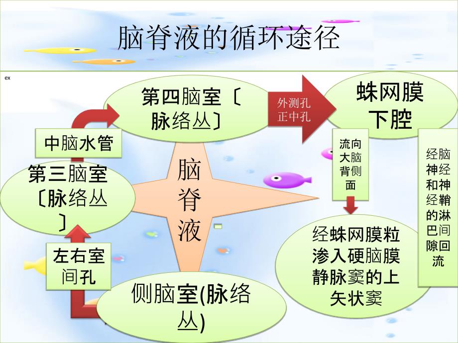 颅脑术后脑室引流的护理ppt课件_第3页