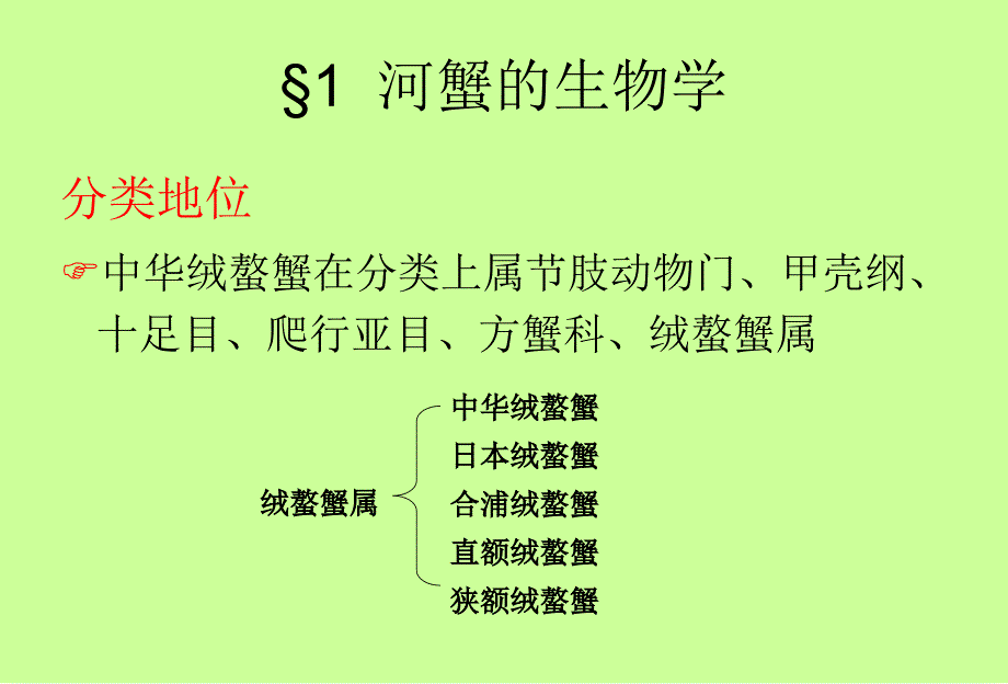 河蟹的养殖.ppt_第3页