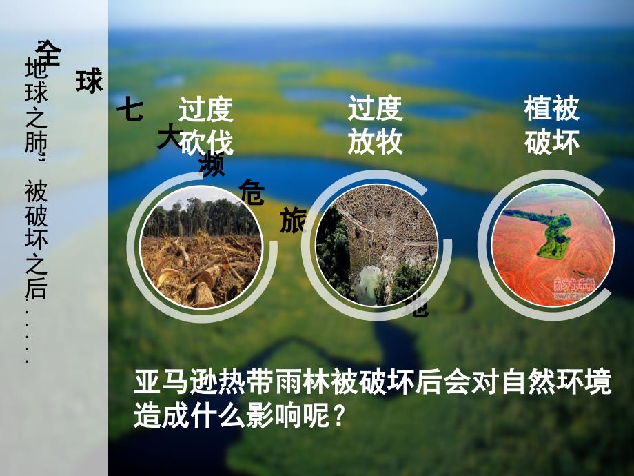 自然地理环境的整体性课件.ppt_第4页