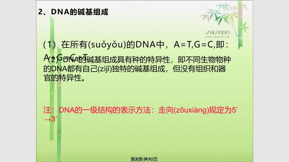 DNA的一级与二级结构实用教案_第2页