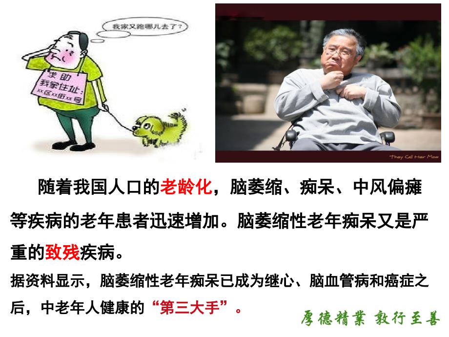 老年痴呆症病人的居家照护.ppt_第2页