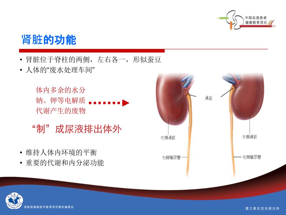 【医学PPT课件】慢性肾病_第2页