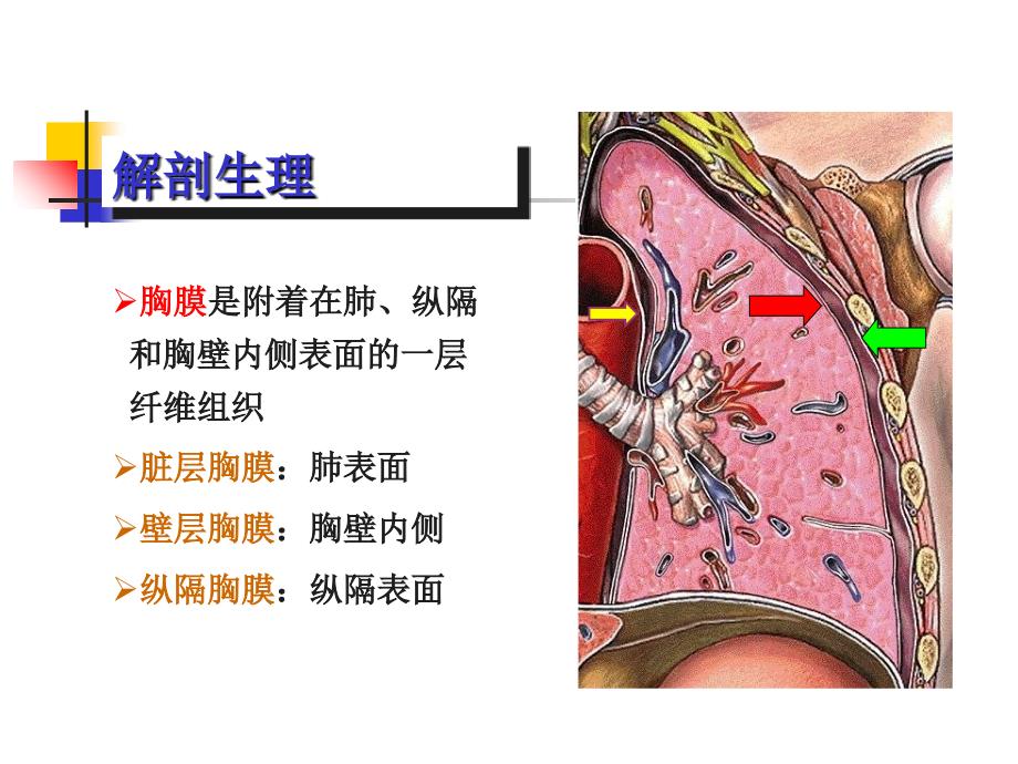 基础医学]胸部损伤病人护理电子版本_第3页