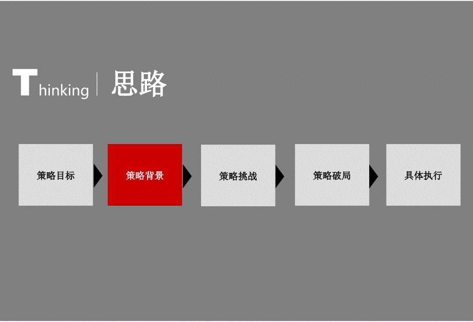 深圳市星河时代营销执行策划案110p_第5页