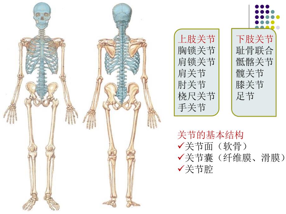 关节炎的鉴别诊断_第2页