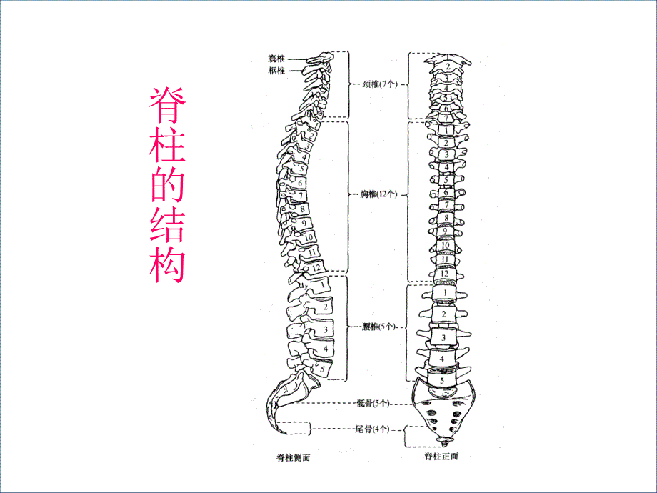 脊髓损伤的康复评定_第2页