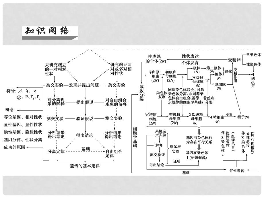 高考生物一轮总复习 整合提升课件5 新人教版_第2页