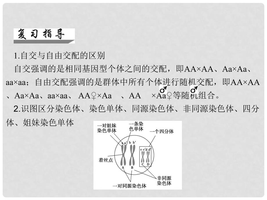 高考生物一轮总复习 整合提升课件5 新人教版_第3页