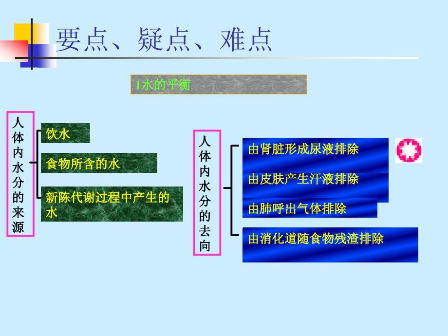 水和无机盐的平衡及调节_第2页