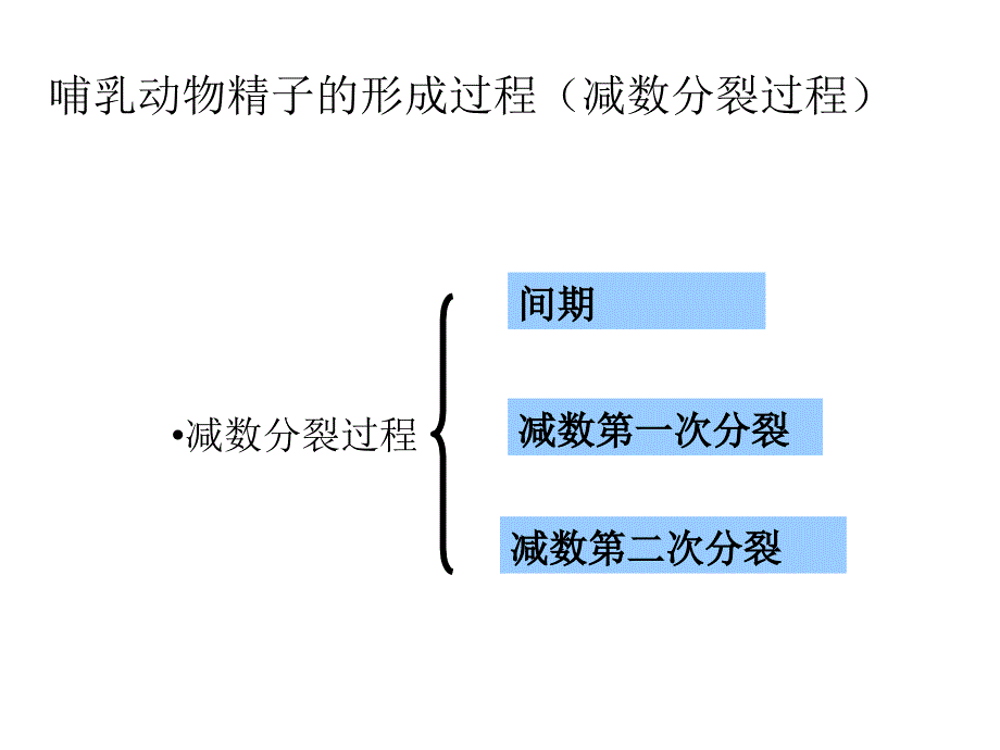 减数分裂和受精作用一_第4页