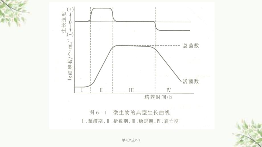 大肠杆菌生长曲线的测定课件_第4页