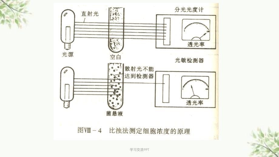 大肠杆菌生长曲线的测定课件_第5页