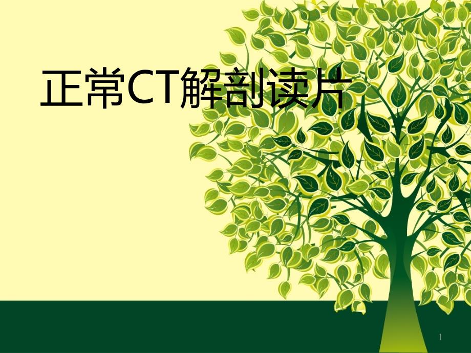 正常CT解剖PPT课件_第1页