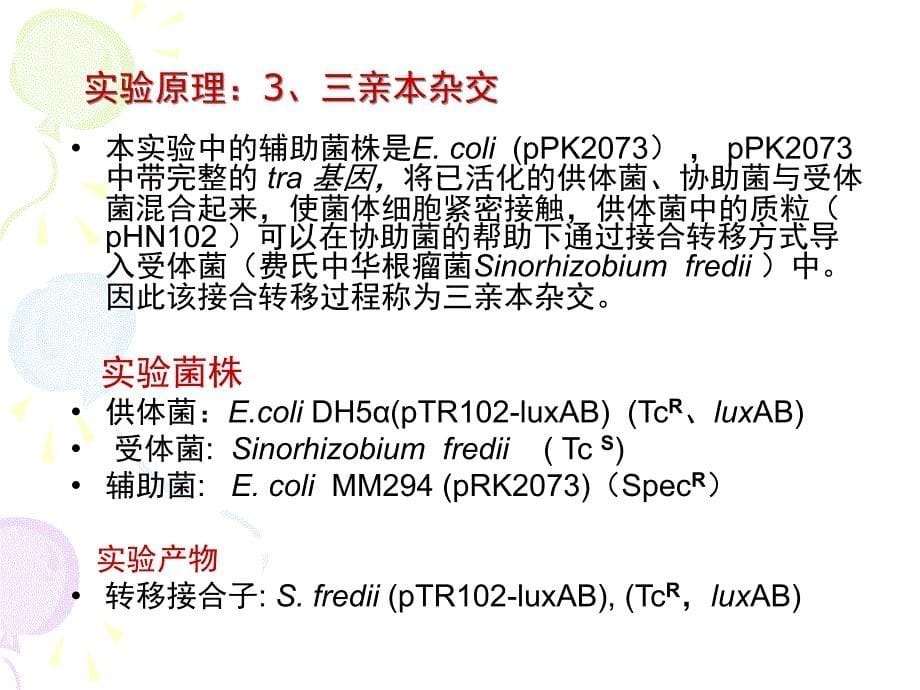 微生物遗传-结合转移.ppt_第5页