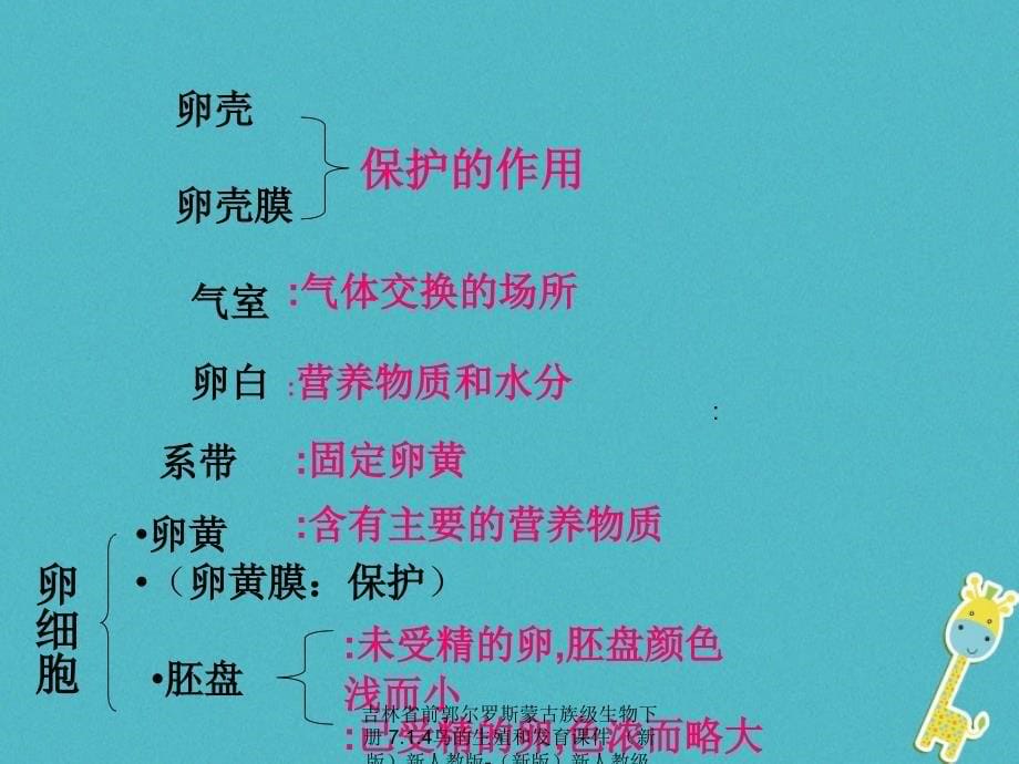 最新吉林省前郭尔罗斯蒙古族级生物下册7.1.4鸟的生殖和发育课件新版新人教版新版新人教级下册生物课件_第5页