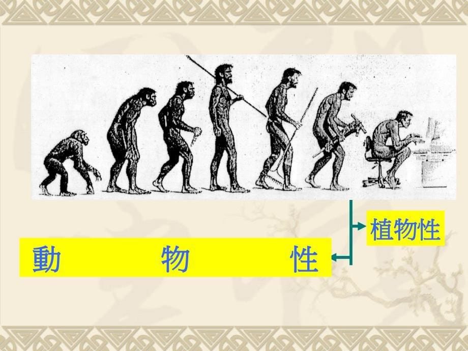 国培计划——学生体质健康评价与应用_第5页