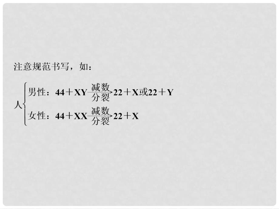 高考生物一轮复习 第五单元 遗传的基本规律 第三讲 性别决定与伴性遗传课件 苏教版_第5页