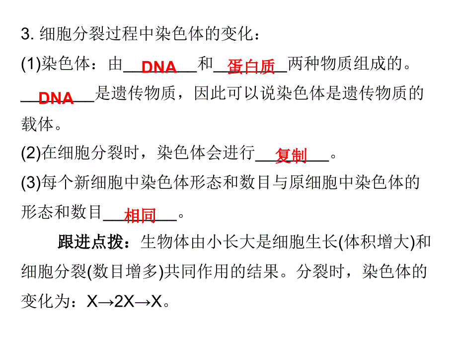 中考生物总复习课件第二单元第二章章细胞怎样构成生物体_第4页