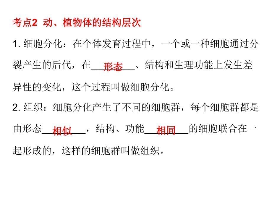 中考生物总复习课件第二单元第二章章细胞怎样构成生物体_第5页