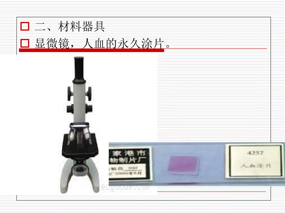 《观察人血的永久涂片》_第3页