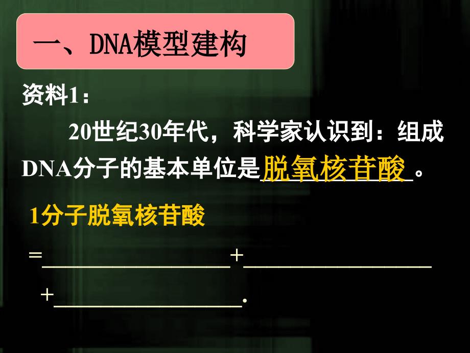 使用DNA分子的结构_第4页