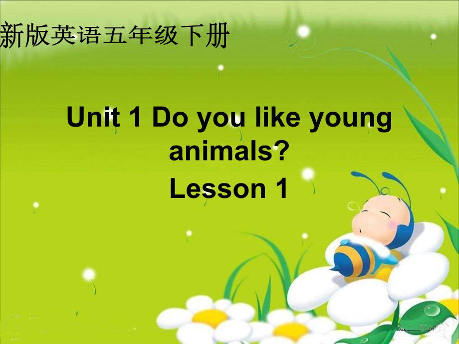 人教(新版)英语五下Unit1 Do you like young animalslesson1ppt课件_第1页