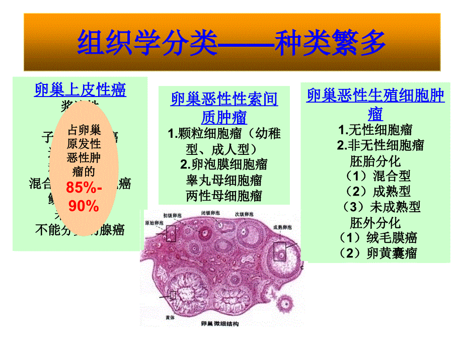 保留生育功能的卵巢癌手术_第3页