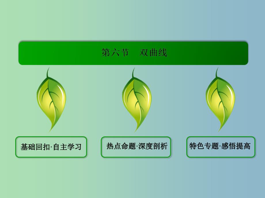 2019版高考数学一轮总复习 8.6双曲线课件.ppt_第2页