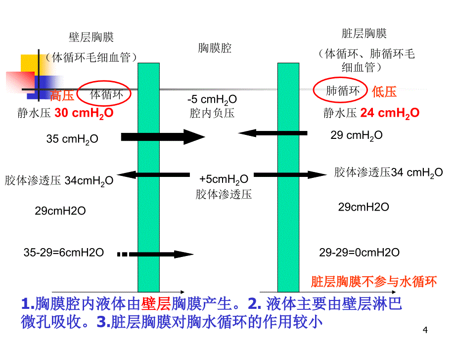 胸腔积液ppt课件_第4页