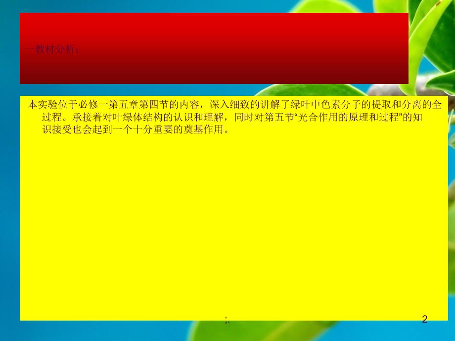 高中生物色素分子的提取和分离实验优质课说课最终定稿ppt课件_第2页