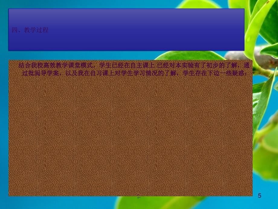 高中生物色素分子的提取和分离实验优质课说课最终定稿ppt课件_第5页