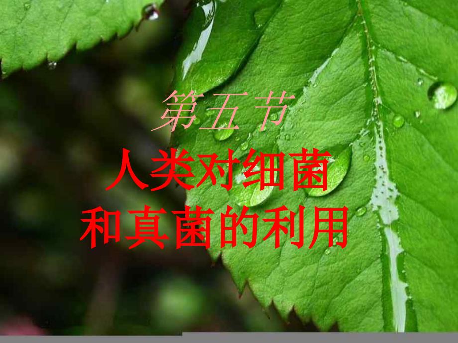 人类对细菌和真菌的利用_第1页