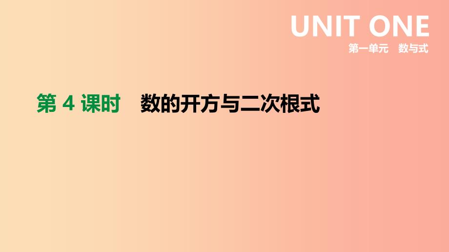 2019年中考数学专题复习 第一单元 数与式 第04课时 数的开方与二次根式课件.ppt_第1页