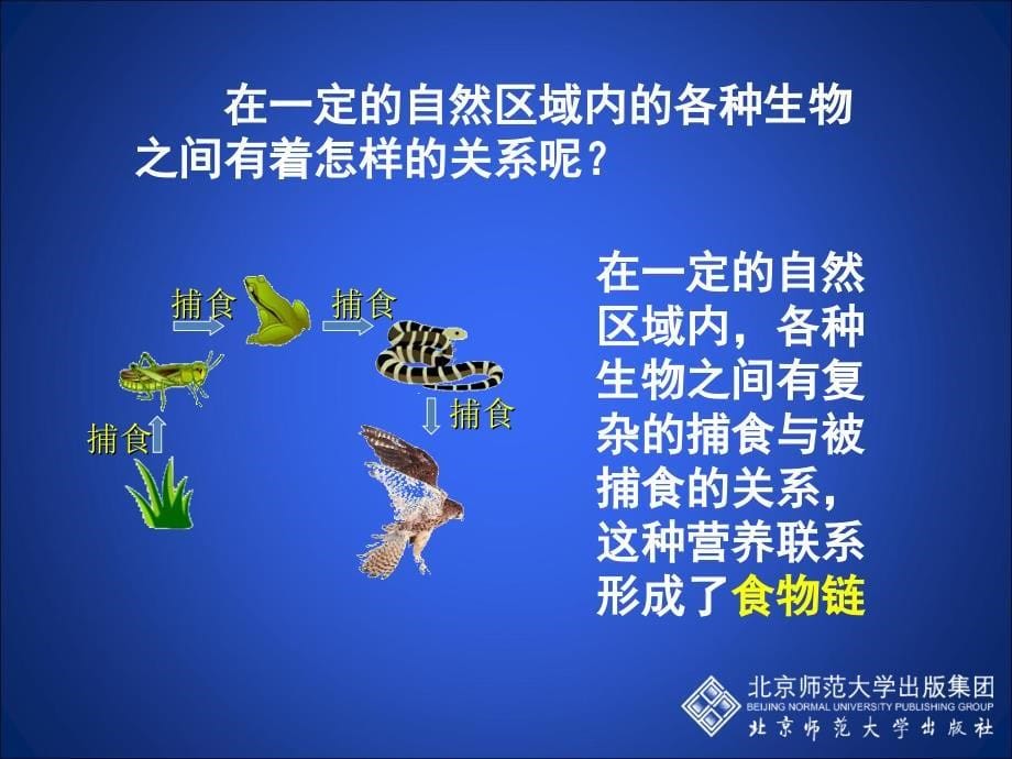 动物在生物圈中的作用（第一课时）婷_第5页