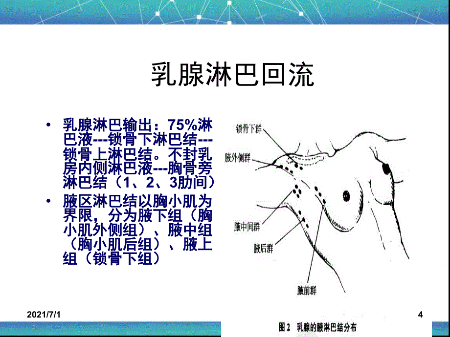 乳腺癌改良根治术_第4页