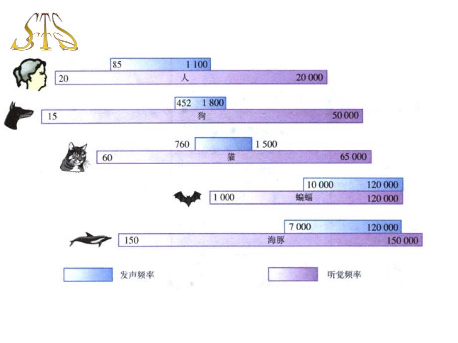 1-4人耳听不到的声音_第4页