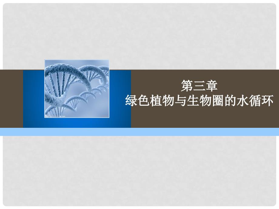 七年级生物上册 第三单元 第三章 绿色植物与生物圈的水循环教学课件 （新版）新人教版_第1页