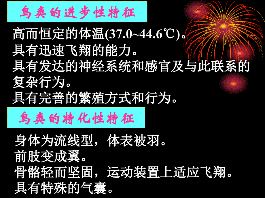 鸟(结构)课件_第4页