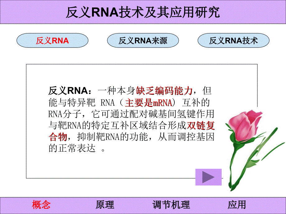 27反义RNA技术及其应用研究_第2页