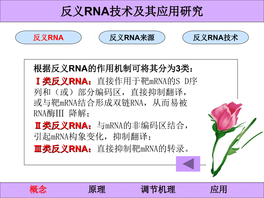 27反义RNA技术及其应用研究_第3页