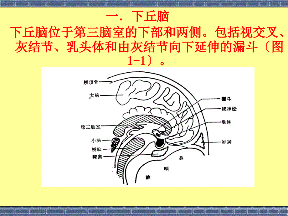 级中医妇科女性生殖内分泌系统_第4页